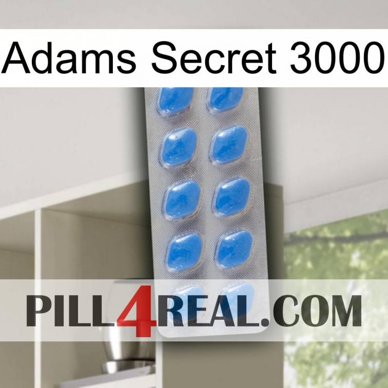 Adams Secret 3000 22